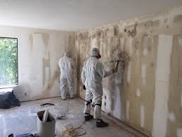 Why You Should Choose Our Mold Remediation Services in Foley, AL